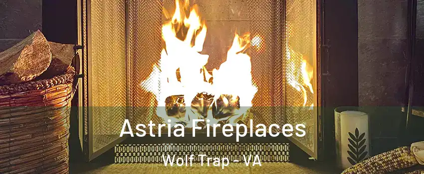  Astria Fireplaces Wolf Trap - VA
