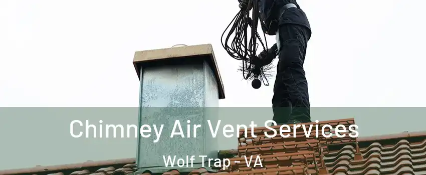  Chimney Air Vent Services Wolf Trap - VA