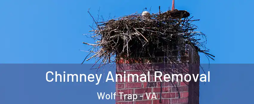  Chimney Animal Removal Wolf Trap - VA