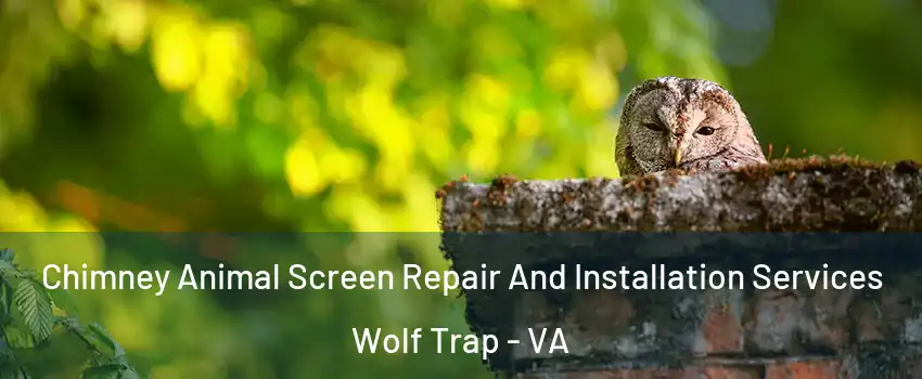  Chimney Animal Screen Repair And Installation Services Wolf Trap - VA