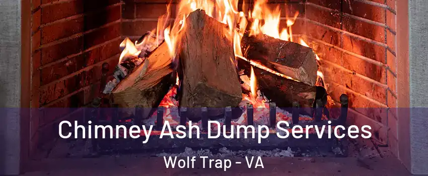  Chimney Ash Dump Services Wolf Trap - VA