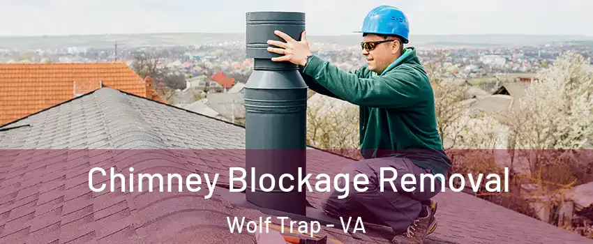  Chimney Blockage Removal Wolf Trap - VA