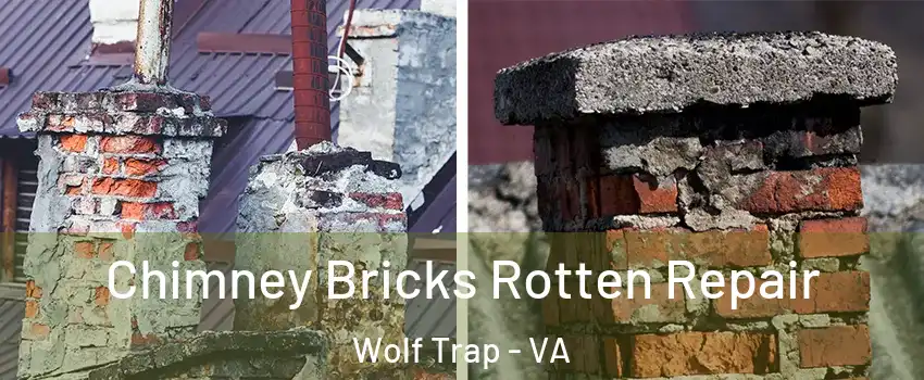  Chimney Bricks Rotten Repair Wolf Trap - VA