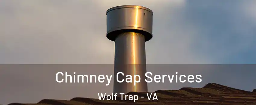  Chimney Cap Services Wolf Trap - VA