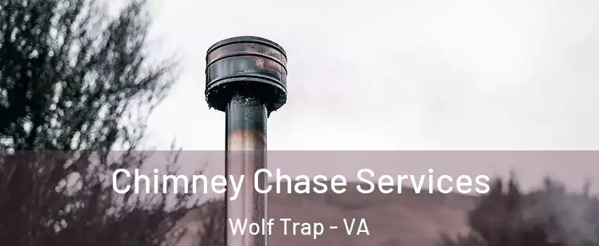  Chimney Chase Services Wolf Trap - VA