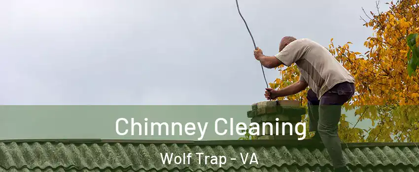  Chimney Cleaning Wolf Trap - VA