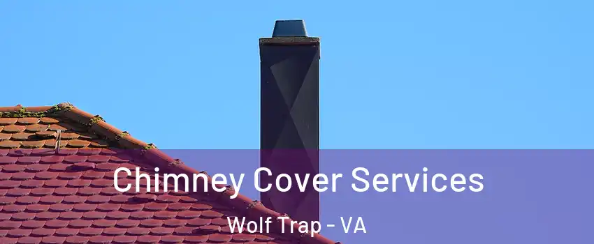  Chimney Cover Services Wolf Trap - VA