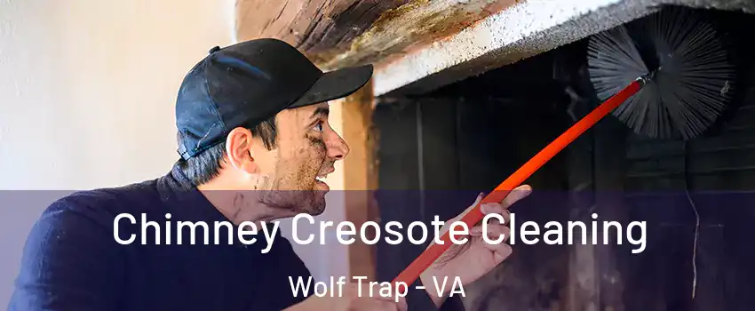  Chimney Creosote Cleaning Wolf Trap - VA