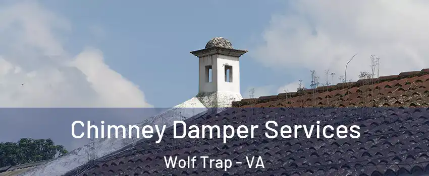  Chimney Damper Services Wolf Trap - VA
