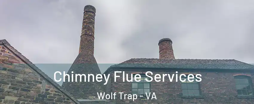  Chimney Flue Services Wolf Trap - VA