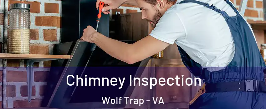  Chimney Inspection Wolf Trap - VA