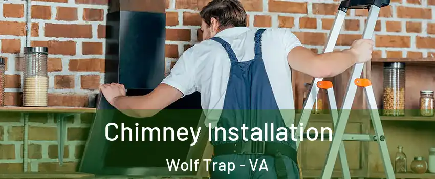  Chimney Installation Wolf Trap - VA