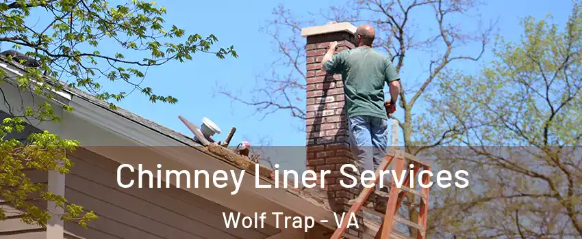  Chimney Liner Services Wolf Trap - VA