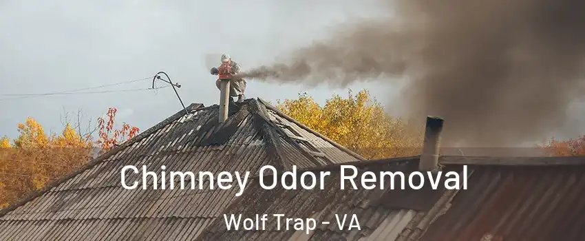  Chimney Odor Removal Wolf Trap - VA