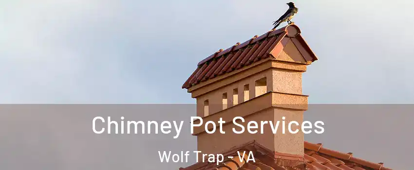  Chimney Pot Services Wolf Trap - VA