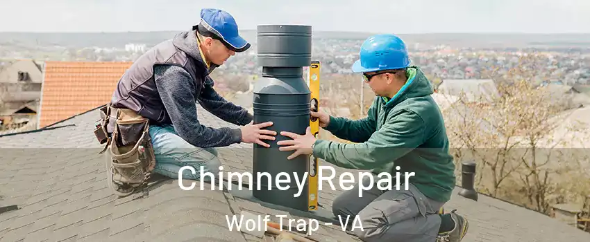  Chimney Repair Wolf Trap - VA