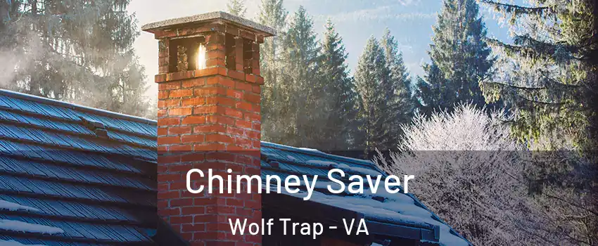  Chimney Saver Wolf Trap - VA
