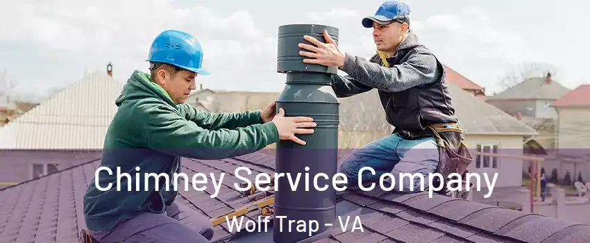  Chimney Service Company Wolf Trap - VA