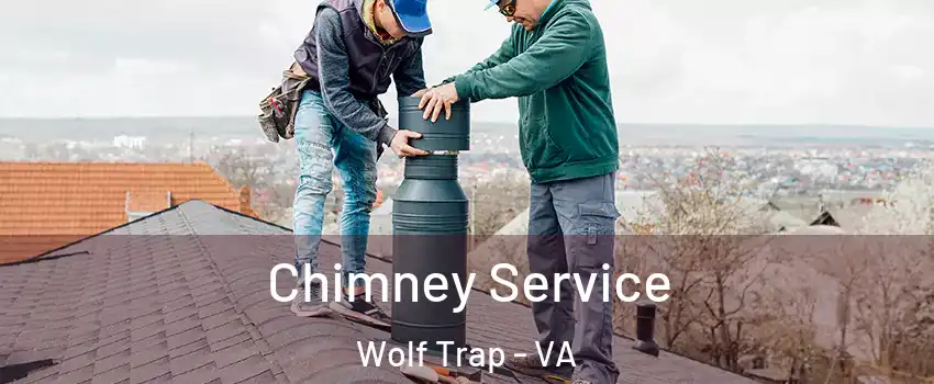  Chimney Service Wolf Trap - VA