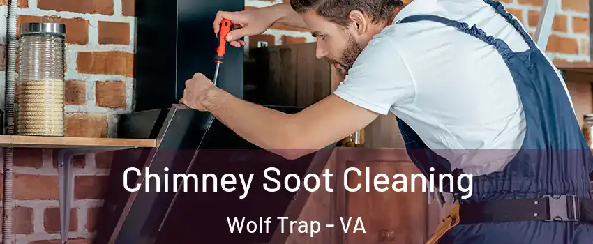 Chimney Soot Cleaning Wolf Trap - VA