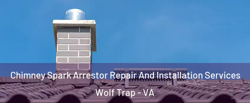  Chimney Spark Arrestor Repair And Installation Services Wolf Trap - VA
