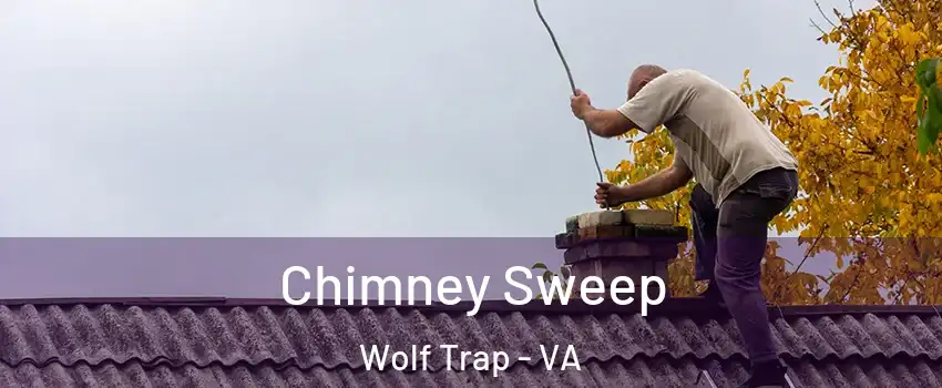  Chimney Sweep Wolf Trap - VA