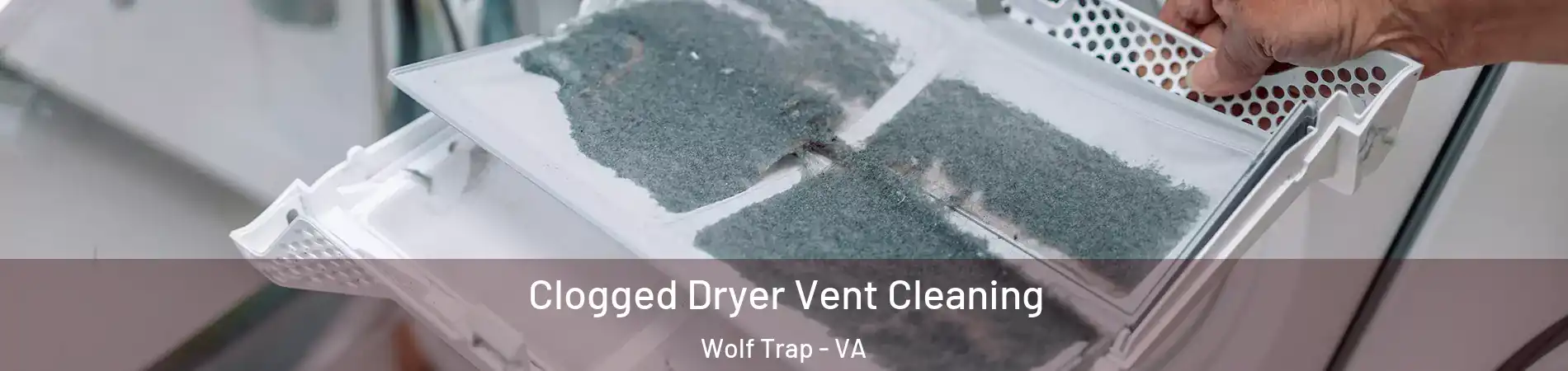  Clogged Dryer Vent Cleaning Wolf Trap - VA