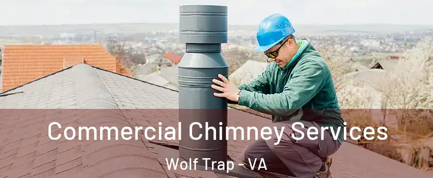  Commercial Chimney Services Wolf Trap - VA
