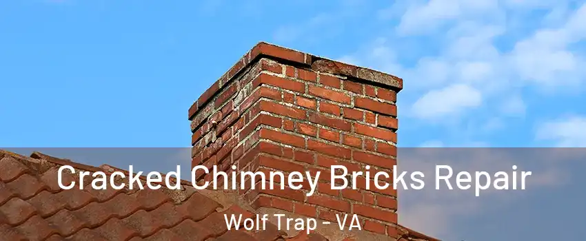  Cracked Chimney Bricks Repair Wolf Trap - VA