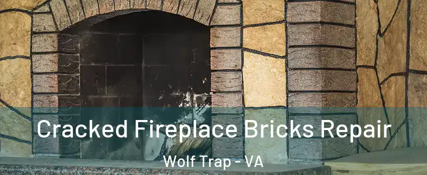  Cracked Fireplace Bricks Repair Wolf Trap - VA