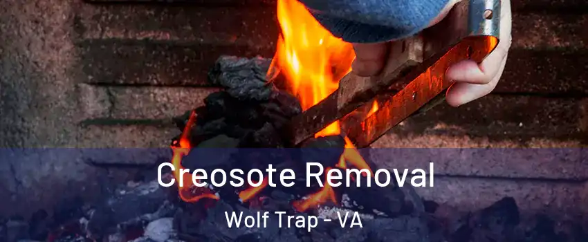  Creosote Removal Wolf Trap - VA