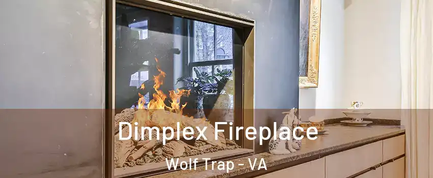  Dimplex Fireplace Wolf Trap - VA