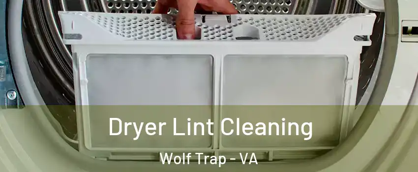  Dryer Lint Cleaning Wolf Trap - VA