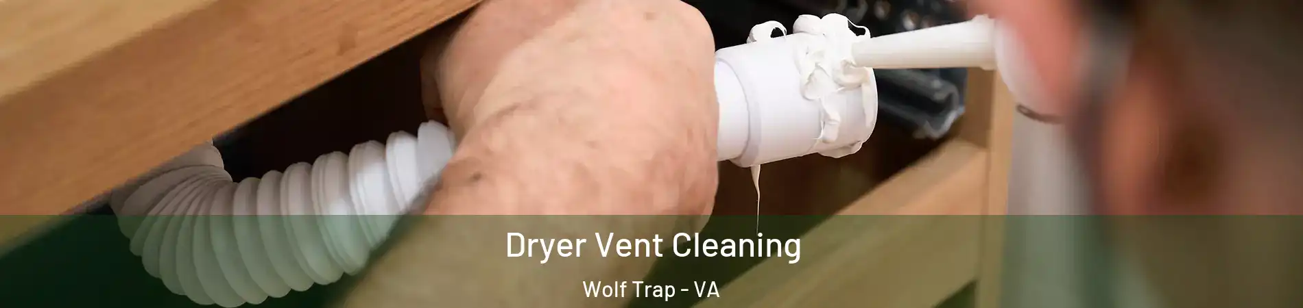  Dryer Vent Cleaning Wolf Trap - VA
