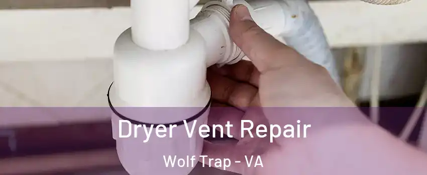  Dryer Vent Repair Wolf Trap - VA