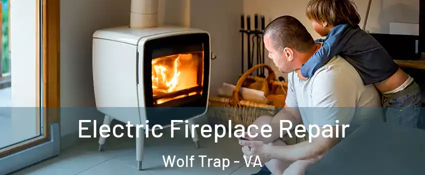  Electric Fireplace Repair Wolf Trap - VA