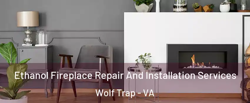  Ethanol Fireplace Repair And Installation Services Wolf Trap - VA