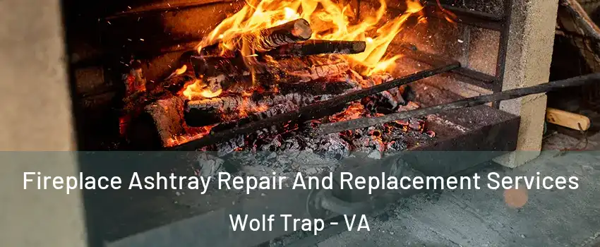  Fireplace Ashtray Repair And Replacement Services Wolf Trap - VA