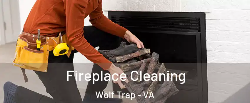  Fireplace Cleaning Wolf Trap - VA