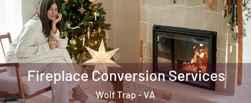  Fireplace Conversion Services Wolf Trap - VA