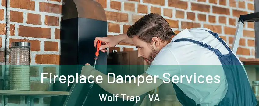  Fireplace Damper Services Wolf Trap - VA