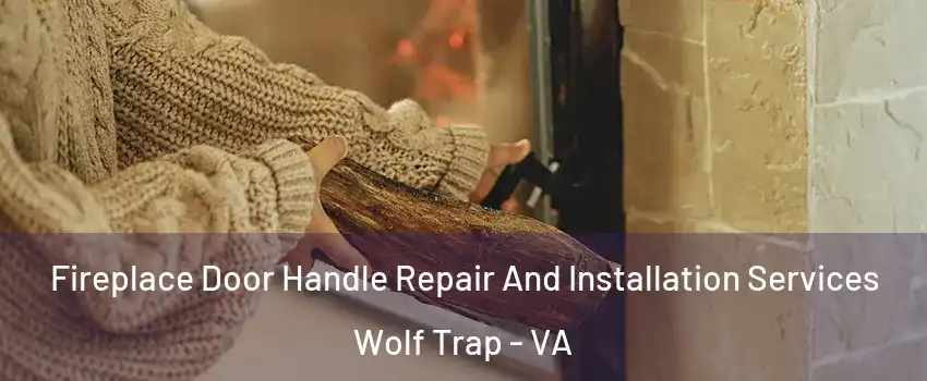  Fireplace Door Handle Repair And Installation Services Wolf Trap - VA