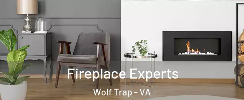  Fireplace Experts Wolf Trap - VA