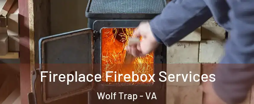  Fireplace Firebox Services Wolf Trap - VA