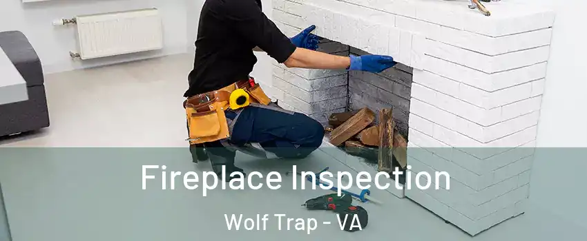  Fireplace Inspection Wolf Trap - VA