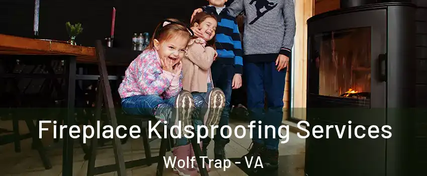  Fireplace Kidsproofing Services Wolf Trap - VA