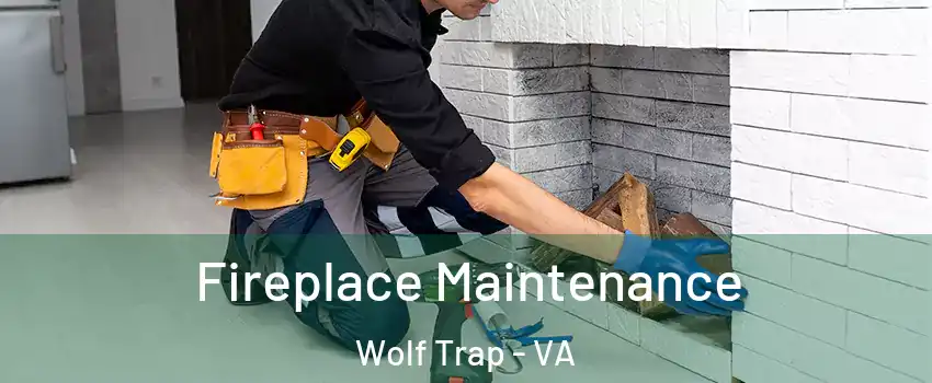  Fireplace Maintenance Wolf Trap - VA