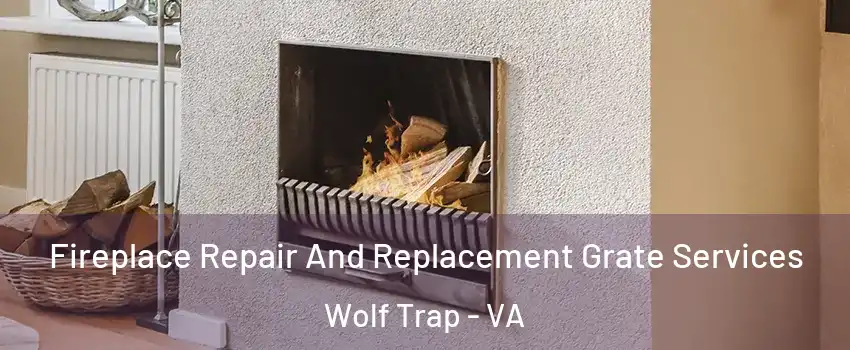 Fireplace Repair And Replacement Grate Services Wolf Trap - VA