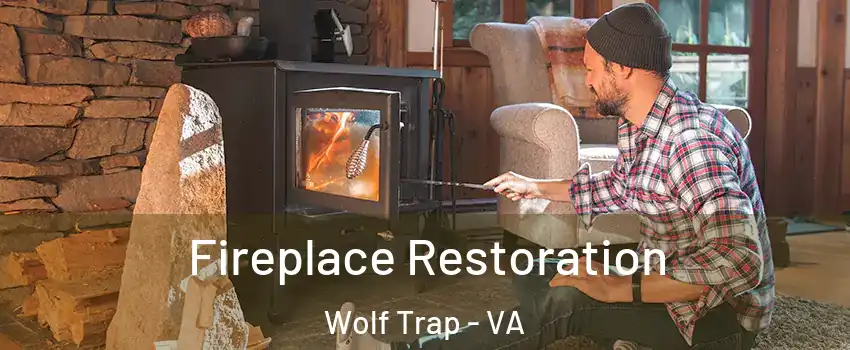  Fireplace Restoration Wolf Trap - VA