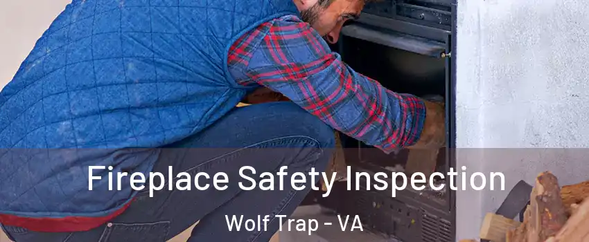  Fireplace Safety Inspection Wolf Trap - VA
